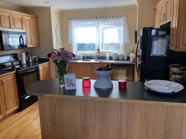 The Thoughtful Dog Bed & Breakfast South Brook Екстер'єр фото