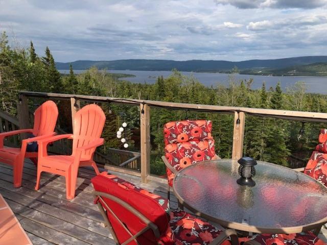 The Thoughtful Dog Bed & Breakfast South Brook Екстер'єр фото