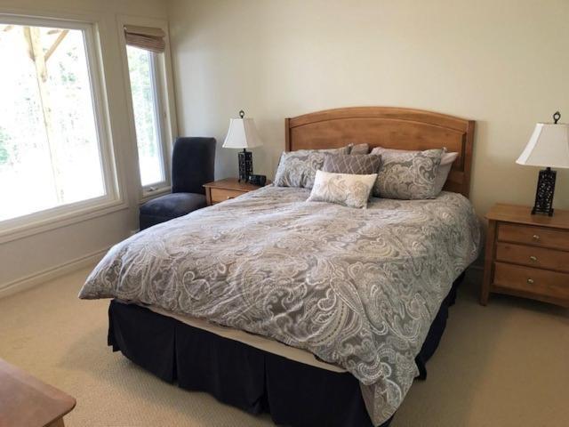 The Thoughtful Dog Bed & Breakfast South Brook Екстер'єр фото